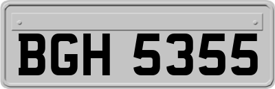 BGH5355