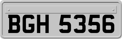 BGH5356