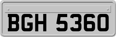 BGH5360