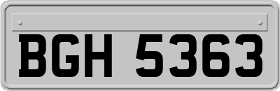 BGH5363