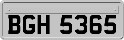 BGH5365