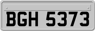 BGH5373