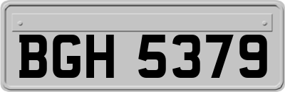 BGH5379