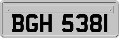 BGH5381