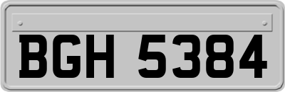BGH5384