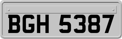 BGH5387