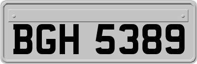 BGH5389