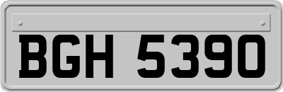 BGH5390