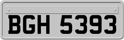 BGH5393