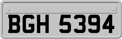 BGH5394