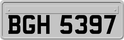 BGH5397