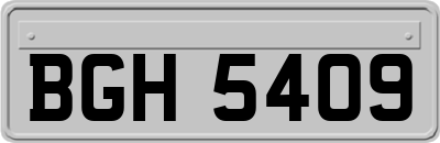 BGH5409