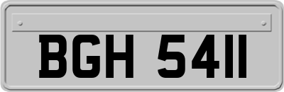 BGH5411