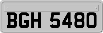 BGH5480