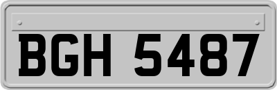 BGH5487