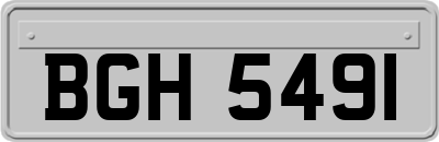 BGH5491