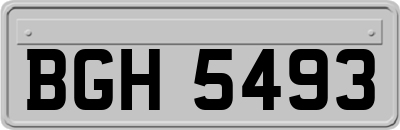 BGH5493