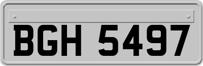 BGH5497
