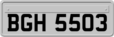 BGH5503