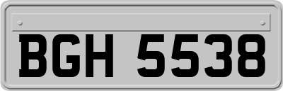 BGH5538