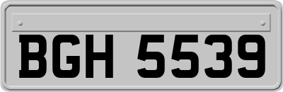 BGH5539
