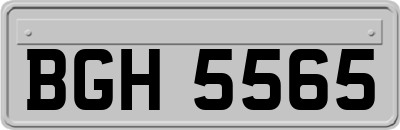 BGH5565