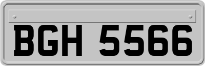 BGH5566
