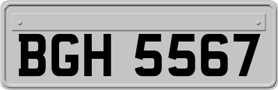 BGH5567