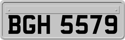 BGH5579