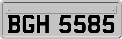 BGH5585