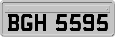 BGH5595