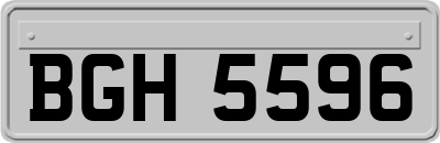 BGH5596
