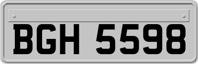 BGH5598