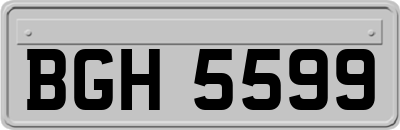BGH5599