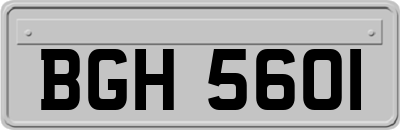 BGH5601