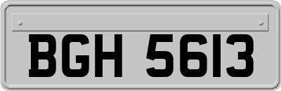 BGH5613
