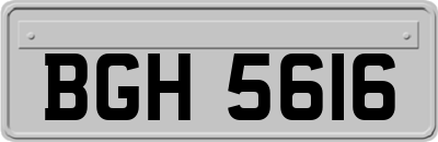 BGH5616