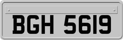 BGH5619