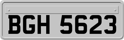 BGH5623