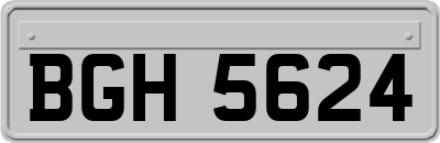 BGH5624