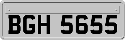 BGH5655