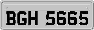 BGH5665