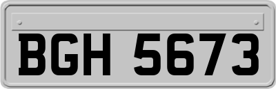 BGH5673