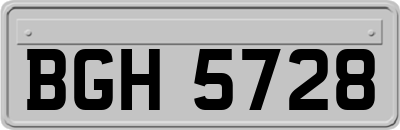 BGH5728