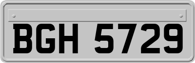 BGH5729