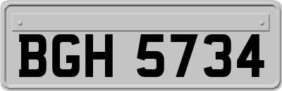 BGH5734