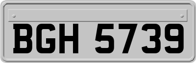 BGH5739