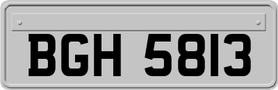 BGH5813
