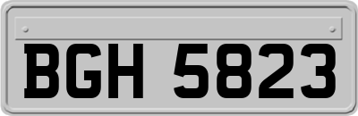 BGH5823