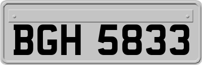 BGH5833